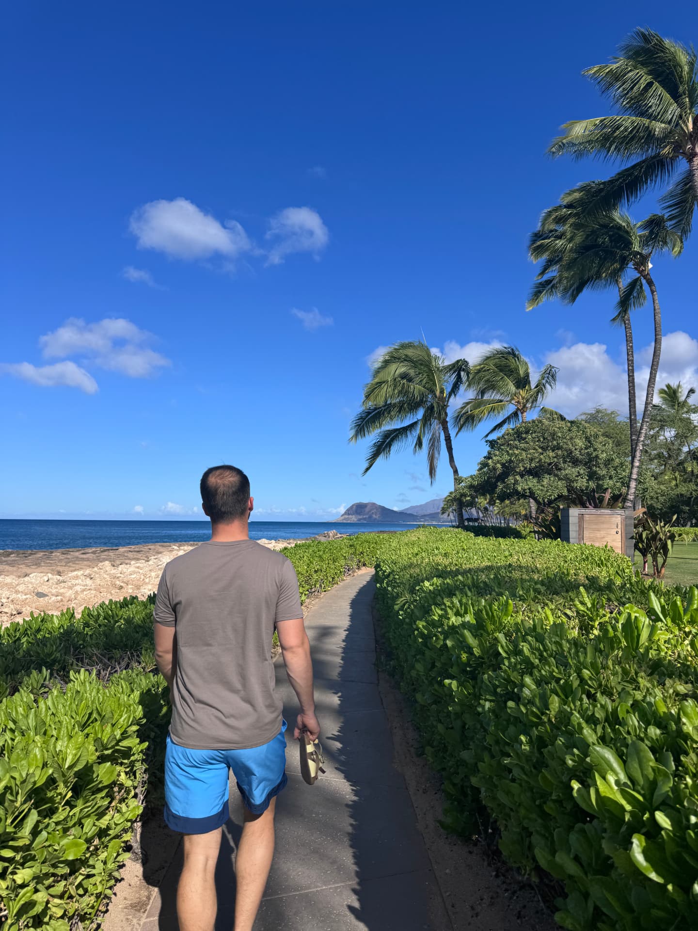 Joseph walking a palm-lined path toward the ocean